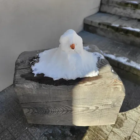 Apartman In Cima Contrada Pieve di Cadore