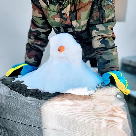 Apartman In Cima Contrada Pieve di Cadore