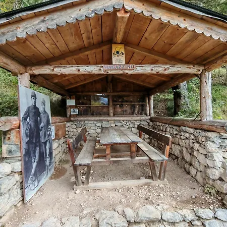 Apartman In Cima Contrada Pieve di Cadore