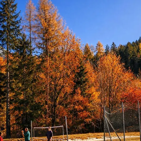 In Cima Contrada-dolomiti & View Διαμέρισμα Pieve di Cadore