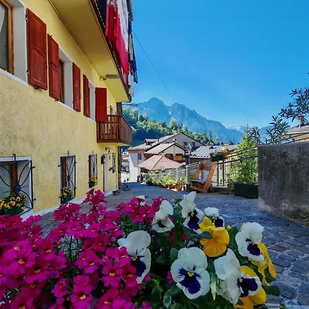 In Cima Contrada-dolomiti & View 아파트 피에베디카도레